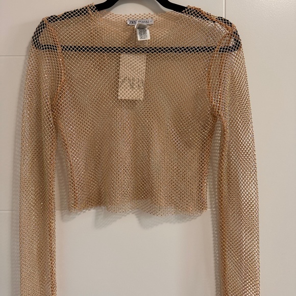 Zara Tops - Zara Chain link Sparkle Mesh Long-Sleeve Crop Top - Iridescent - M
